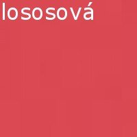 Dívčí silonky s plastickým vzorem-60 DEN-VZOR TEREZKA